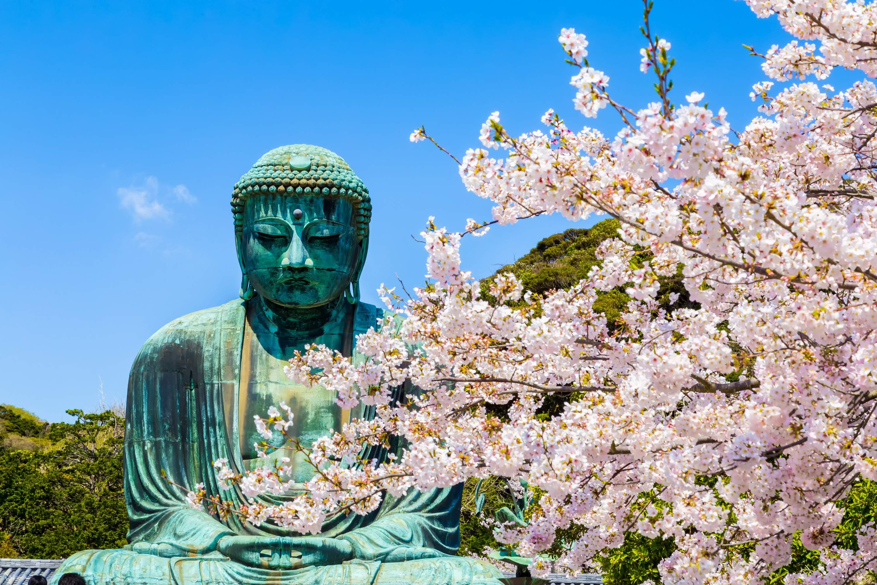 鎌倉大仏＆鶴岡八幡宮＆江ノ島＆鎌倉高校日帰りツアー | Klook